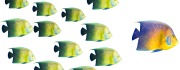 Illustration af lederrollen