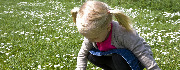 pige plukker blomster