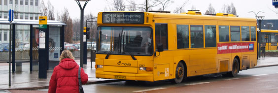 Gul Movia-bus