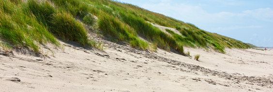 Klitter og sand ved Vesterhavet