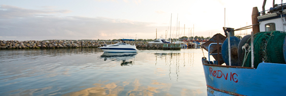 Rødby Havn