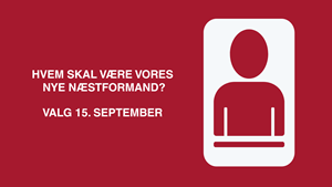 Hvem skal være vores nye næstformand?