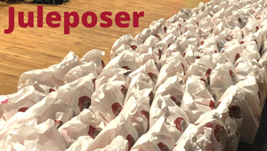 Juleposer