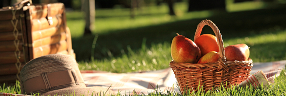 Picnic-tur i FOA Århus