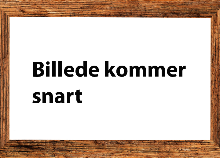 Foto af Susanne Madsen