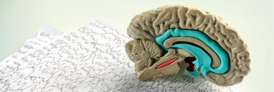 Danske Neurofysiologiassistenter