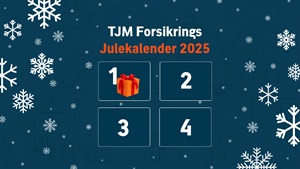 TJM julekalender