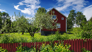 Trygg-Hansa forsikringstilbud 2024