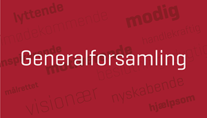 Generalforsamling