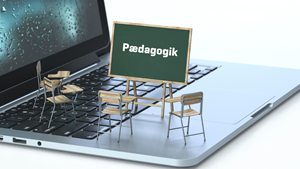 Paedagogisk undervisning