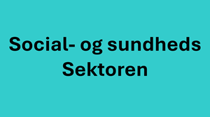 Arrangement i social- og sundhedssektoren