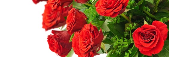 En buket røde roser