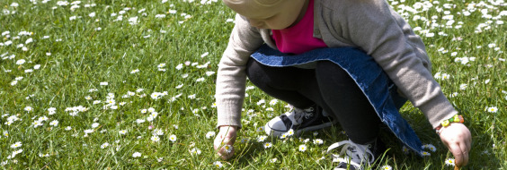 Pige plukker blomster