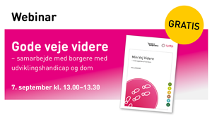 Webinar - Gode veje videre