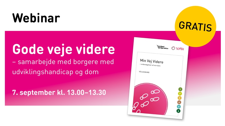 Webinar - Gode veje videre