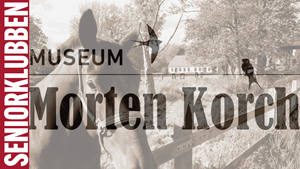 Museum Morten Korch