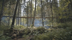 guld-Alaska