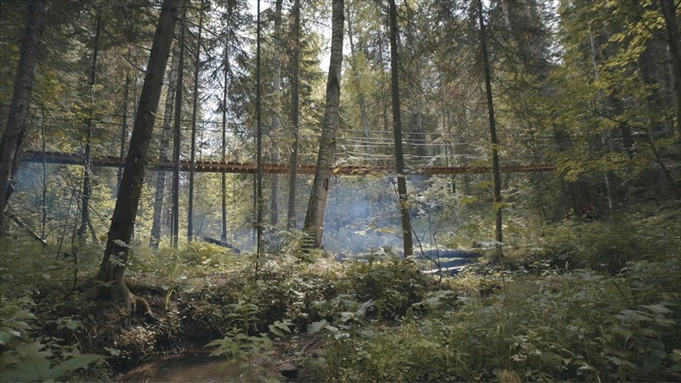 guld-Alaska