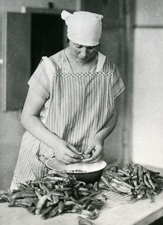 Arbejdstøj sosu 1929
