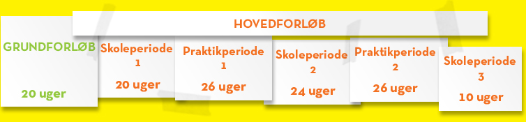 hovedforløb