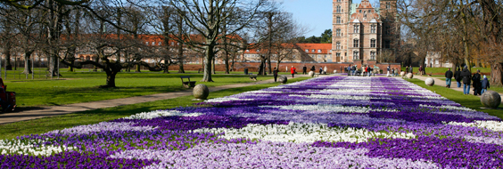 Forårsblomster i Kongens Have