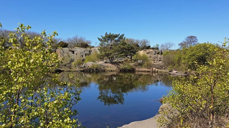 Hammerfyr på Bornholm