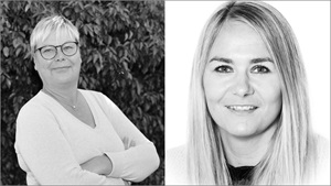 Frederikshavnermodellen